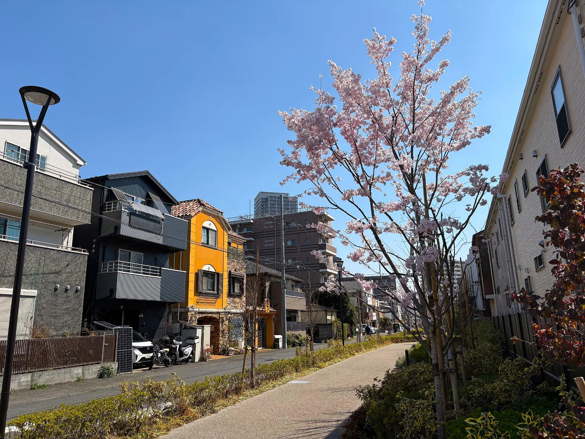 解像度の高いケアプラン