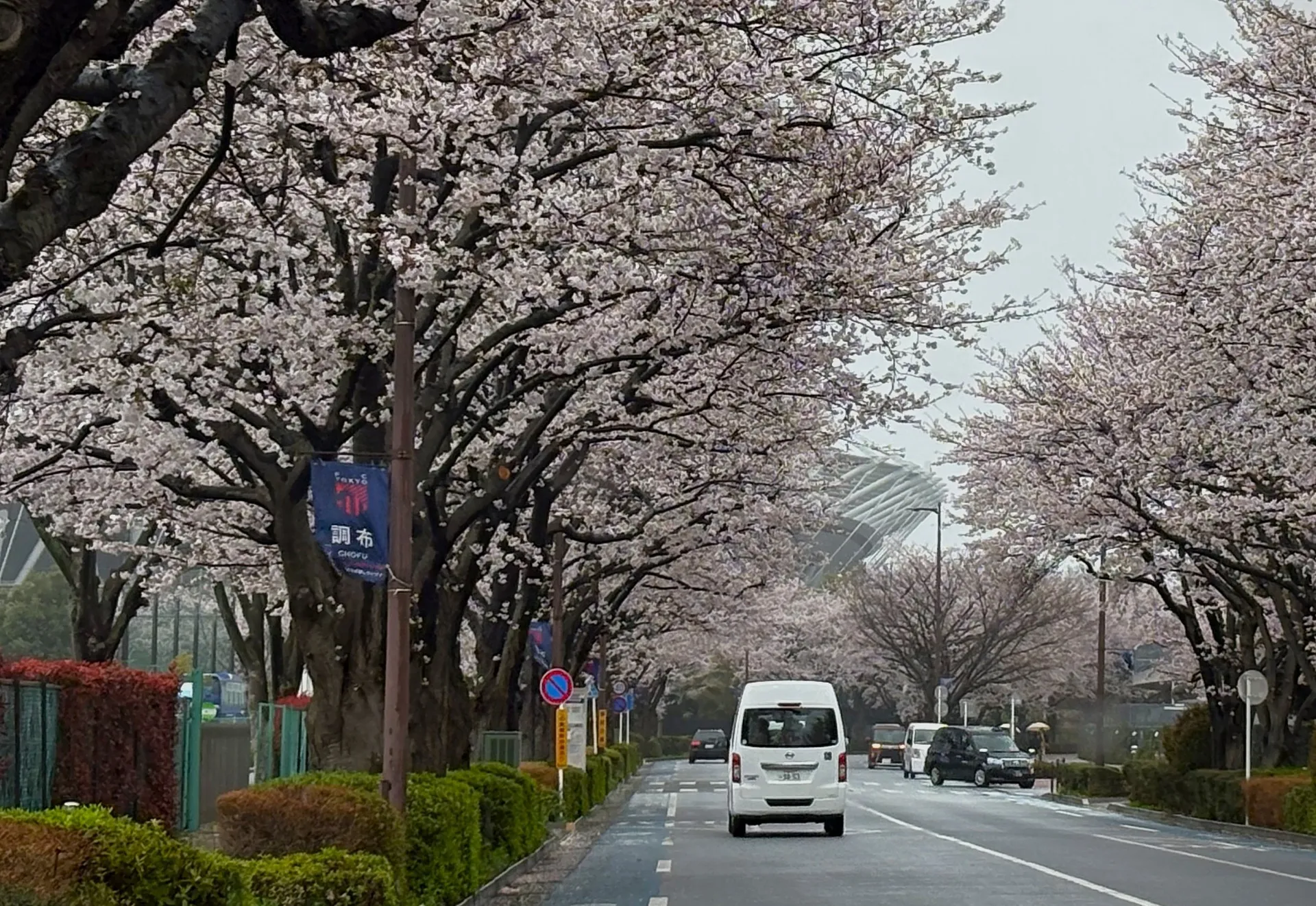 解像度の高いケアプラン2