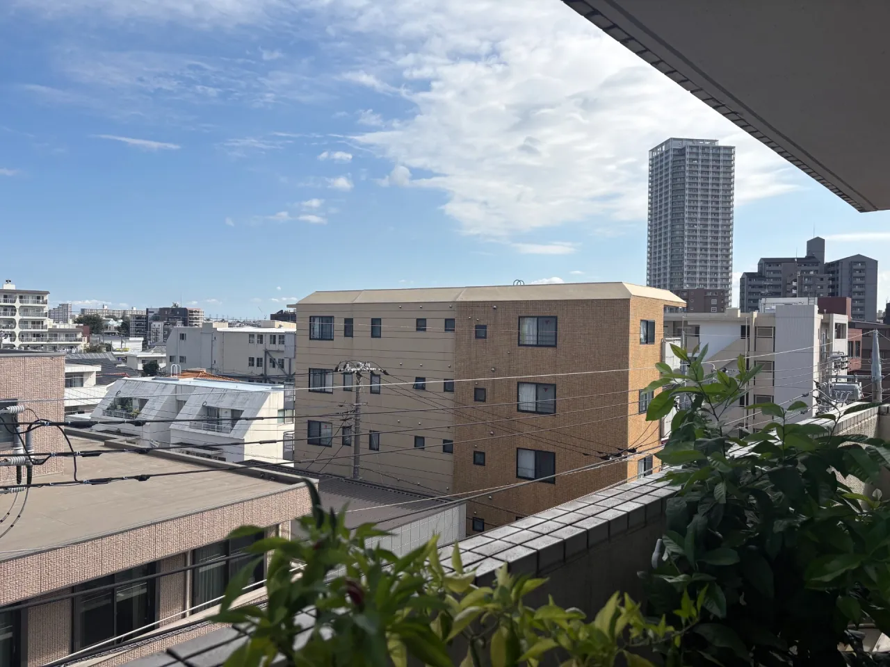 合格したあと...。